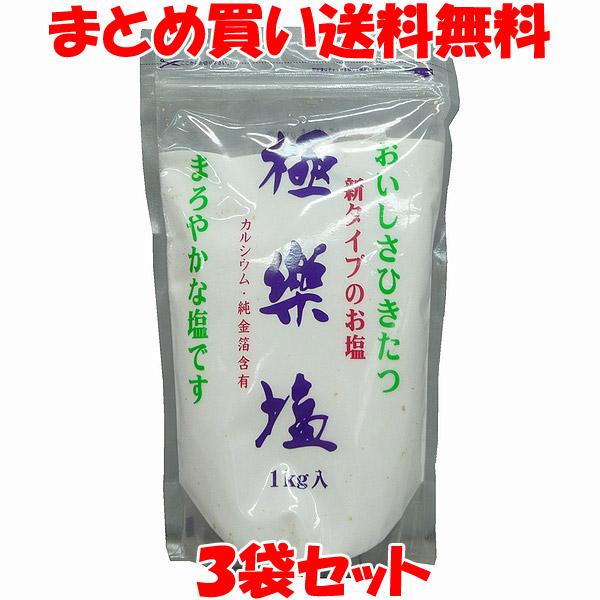 塩 波動法製造 万能 極楽塩(ごくらくえん)1kg×3個セット まとめ買い送料無料