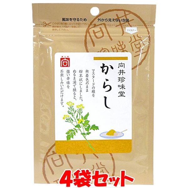 向井珍味堂 手作り からし 辛子 無着色 20g×4袋セット ゆうパケット送料無料(代引・包装不可)