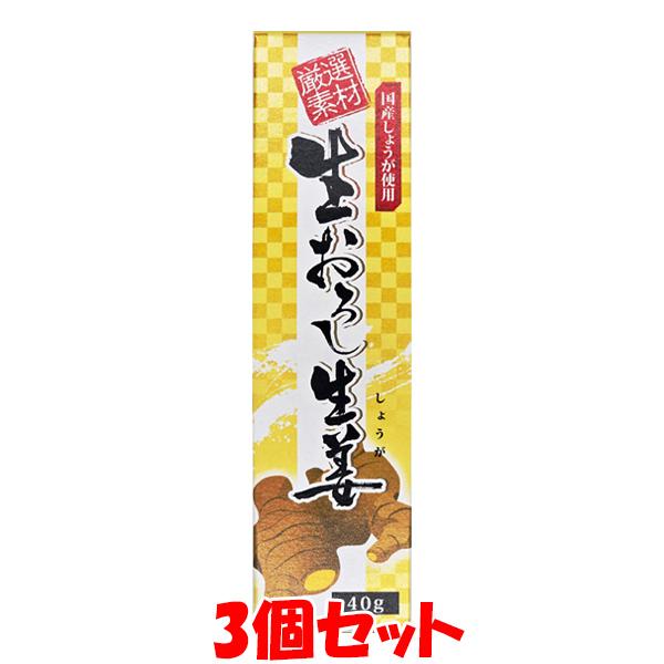 東京フード 厳選素材 生おろし生姜 チューブ入り 40g×3個セット ゆうパケット送料無料 ※代引・...