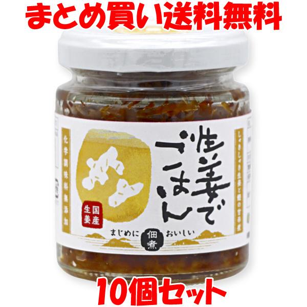 マルシマ 生姜でごはん 佃煮 国産 しょうが ごはん お茶漬け 煮魚 ビン入 70g×10個セット ...