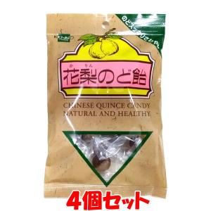 健康フーズ 花梨のど飴 100g×4個セット ゆうパケット