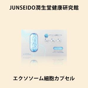 目に良い！サプリメント_ポリフェノール サプリメント 日本製 JUNSEIDO 潤生堂 APPLE PROCYANIDIN