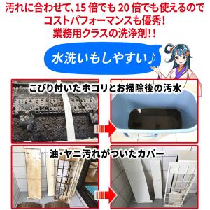 エアコン洗浄剤 エアリセッター 1kg 高濃度...の詳細画像3