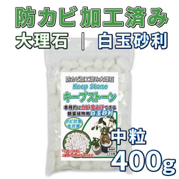 防カビ加工済み大理石 キープストーン 白玉砂利 中粒 400g B-S400W /植物 観葉植物の土...