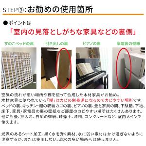 防カビ侍 強力被膜コートタイプ 300g /非...の詳細画像4