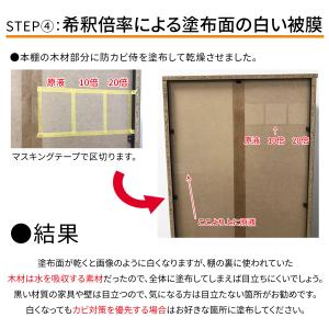防カビ侍 強力被膜コートタイプ 300g /非...の詳細画像5