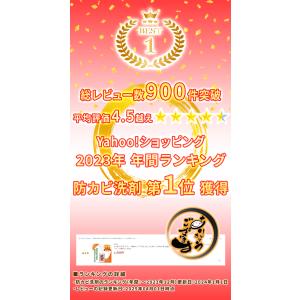カビ取り侍 液スプレー 標準タイプ 500g ...の詳細画像2