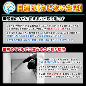 カビ取り侍 液スプレー 標準タイプ 500g ...の詳細画像3