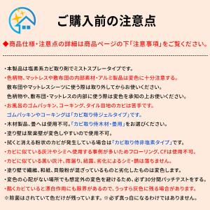 カビ取り侍 液スプレー 標準タイプ 500g ...の詳細画像4