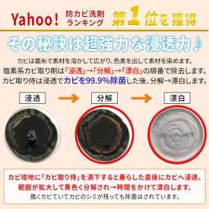 カビ取り侍 液スプレー 標準タイプ 500g ...の詳細画像5