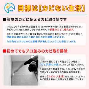 カビ取り侍 液スプレー 強力タイプ 500g ...の詳細画像2