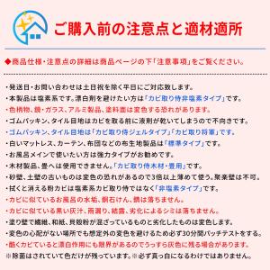 カビ取り侍 液スプレー 強力タイプ 500g ...の詳細画像3