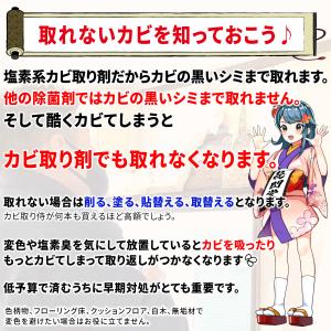 カビ取り侍 液タイプ 1kg 木材・畳用 ソフ...の詳細画像4