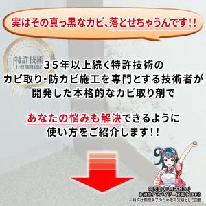 カビ取り侍 洗濯槽 1kg /洗濯機の黒カビを...の詳細画像5
