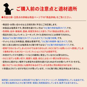カビ取り侍 液スプレー 500g 木材・畳用 ...の詳細画像3