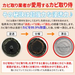 カビ取り侍 液スプレー 500g 木材・畳用 ...の詳細画像4