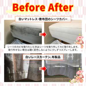 カビ取り侍 液 標準タイプ 1000g カビ ...の詳細画像3