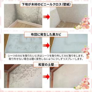 カビ取り侍 液 標準タイプ 1000g カビ ...の詳細画像4