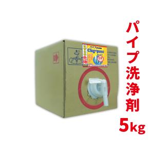 超強力 パイプ洗浄剤 クロッグパス 5kg 粘度タイプ 大容量/風呂 洗面台の髪の毛 繊維の詰まりを解消して溶かすパイプクリーナー 除菌 消臭付き/PP-J5000