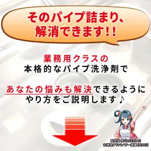 超強力 パイプ洗浄剤 クロッグパス 5kg 粘...の詳細画像4