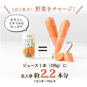 にんじんジュース 元気一杯 にんじん100% ...の詳細画像5
