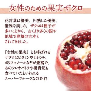 ザクロジュース しっかりエラグ酸 無添加 ザク...の詳細画像5