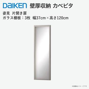 DAIKEN 大建工業 壁厚収納 カベピタ スリッパ収納 370L FQ1009-14