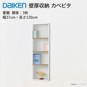 DAIKEN 大建工業 壁厚収納 カベピタ スリッパ収納 370L FQ1009-14