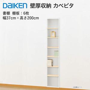 DAIKEN 大建工業 壁厚収納 カベピタ スリッパ収納 370L FQ1009-14