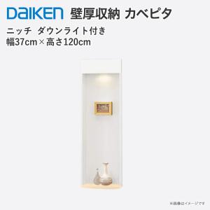 DAIKEN 大建工業 壁厚収納 カベピタ スリッパ収納 370L FQ1009-14