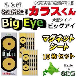 カラス 撃退 グッズ よけ 対策 駆除 5枚セット SARABAカラスくん 磁石