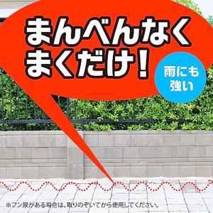 アースガーデン イヌ・ネコのみはり番 粒剤 1...の詳細画像3