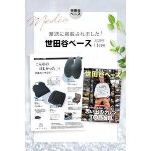 【所ジョージの世田谷ベース掲載】 車 クッショ...の詳細画像2