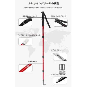 トレッキングポール 2本セット 伸縮式 アウト...の詳細画像2