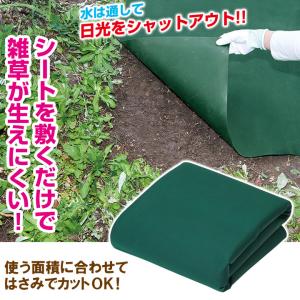 防草シート 除草 雑草対策 遮光 農薬不使用 ...の詳細画像1