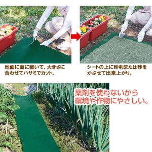 防草シート 除草 雑草対策 遮光 農薬不使用 ...の詳細画像3