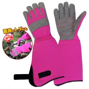 英国ブランド Spear＆Jackson キューガーデン ガーデングローブ S