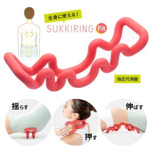 未使用】デンバヘルス ハイグレードタイプ DENBA-08H-H 別売り専用