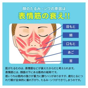 日本製 小顔 表情筋 トレーニング リフトアッ...の詳細画像3