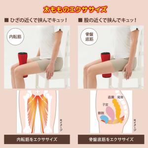 エクササイズ トレーニング 挟む 健康 振動 ...の詳細画像2