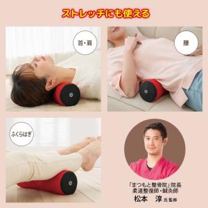 エクササイズ トレーニング 挟む 健康 振動 ...の詳細画像3