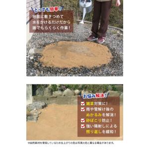 魔法の土カチカチ君 3袋組 カチカチくん かち...の詳細画像1