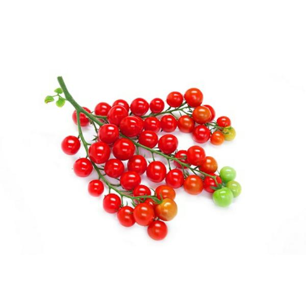 アルル  PVP 100粒 トマト とまと 蕃茄【朝日アグリア 種 たね タネ 】【【通常5倍 5の...