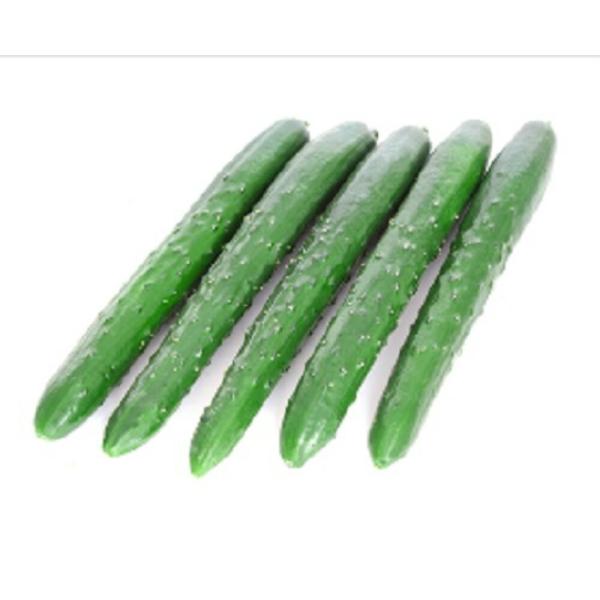 グラッチェ1号 350粒 胡瓜 キュウリ きゅうりグラッチェ1号 350粒【朝日アグリア 種 たね ...