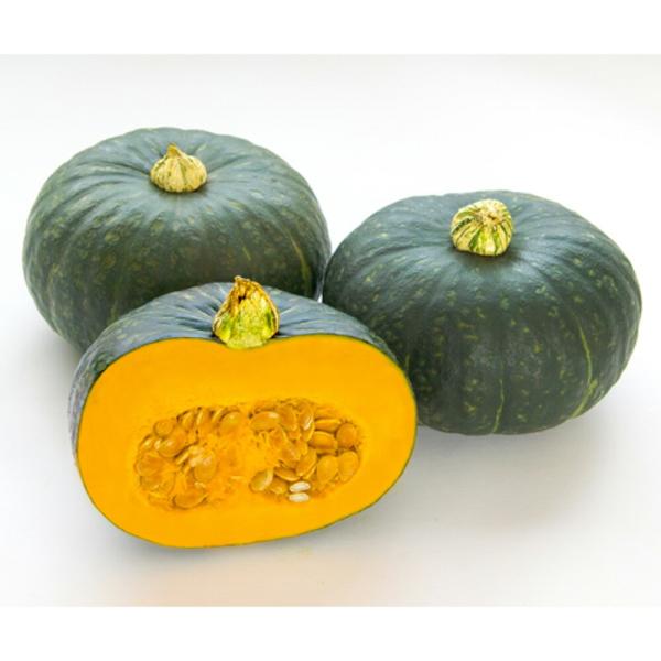 プリメラ115 500粒 南瓜 カボチャ かぼちゃ【朝日アグリア 種 たね タネ 】【【通常5倍 5...