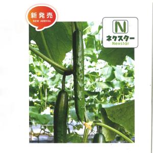 野菜の種/種子 ニーナZ S-27Z 350粒 キュウリ きゅうり （メール便