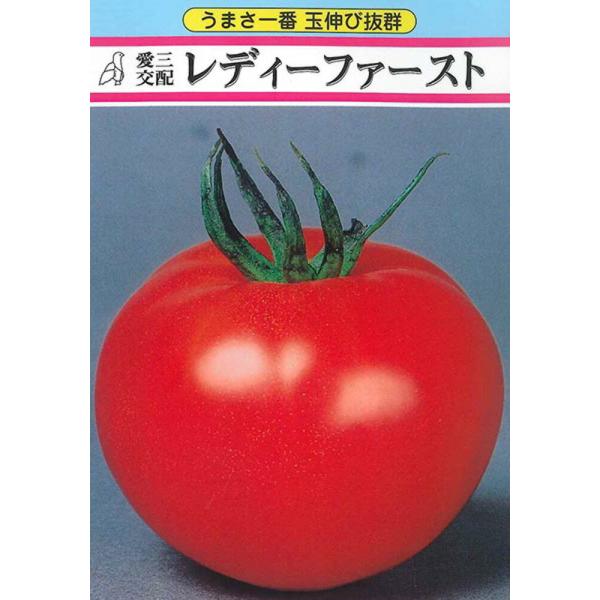 レディーファースト 100粒 トマト とまと 蕃茄 100粒 トマト とまと 蕃茄 愛三種苗 【愛三...