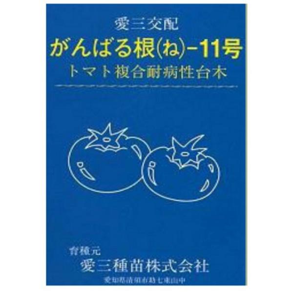 がんばる根-11号 コート千粒 台木 ダイギ だいぎ コート千粒 トマト台木  愛三種苗 【愛三種苗...