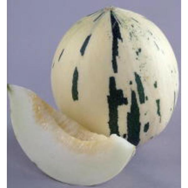 しらかば 100粒 めろん メロン 愛三種苗 【愛三種苗 種 たね タネ 】【通常5倍 5のつく日は...