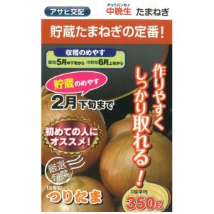 EXスター 100g 超極早生品種 玉ねぎ たまねぎ 玉葱 タマネギ